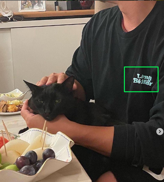 栗原陵矢としずかの匂わせ、家で猫と同じTシャツの画像