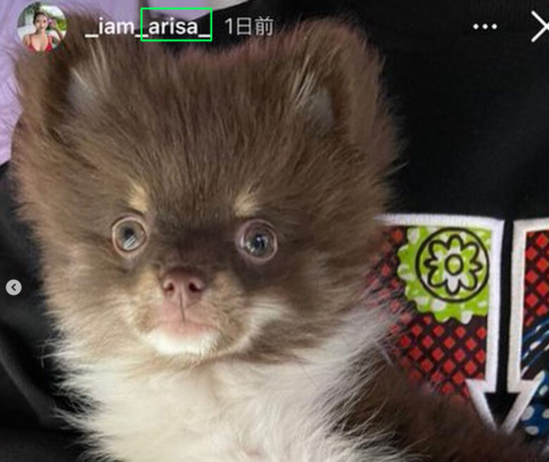 栗原陵矢とありさの匂わせの同じTシャツ