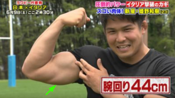 腕回りが44センチと極太な姫野和樹