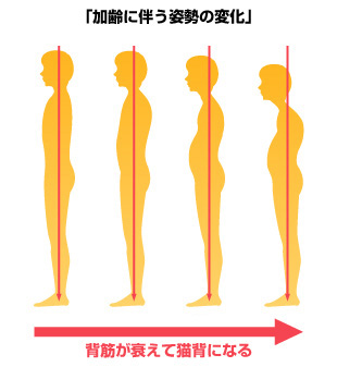 叶恭子の姿勢が悪い理由3つ